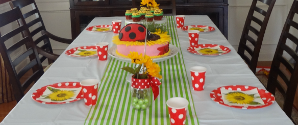 Real Party: Little Ladybug First Birthday