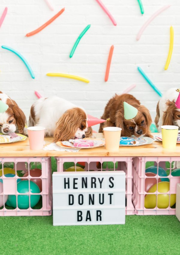 Sprinkle Donut Birthday Party for Dogs